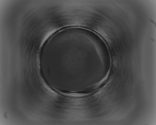 X0000093581120200710151140