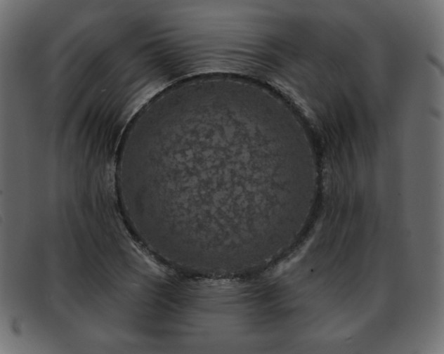 X0000093581121200710151140
