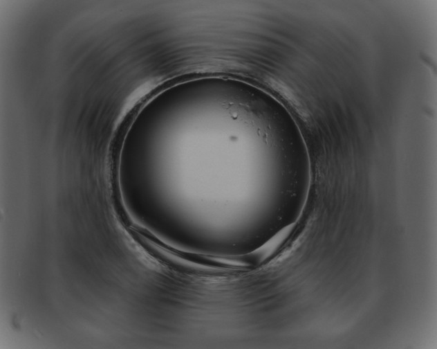 X0000093581122200710151140