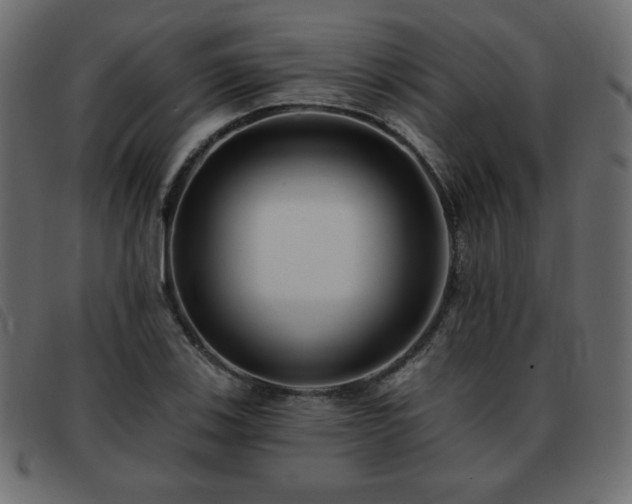 X0000093581123200710151140