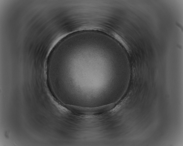 X0000093581124200710151140