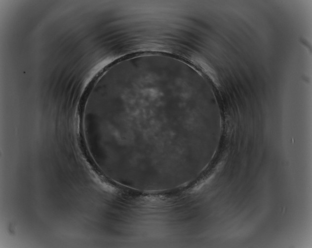 X0000093581125200710151140