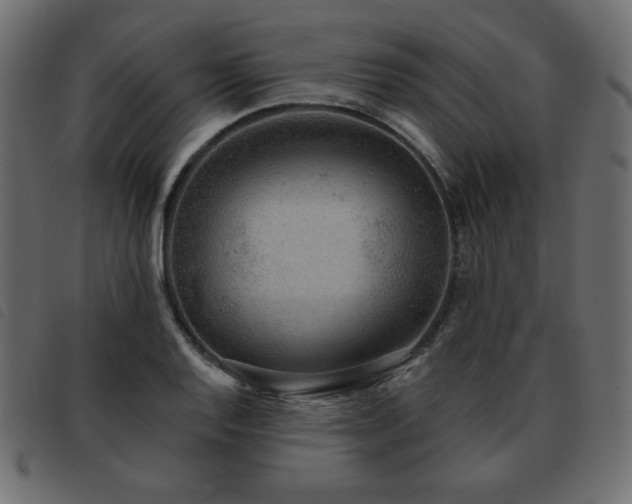 X0000093581128200710151140