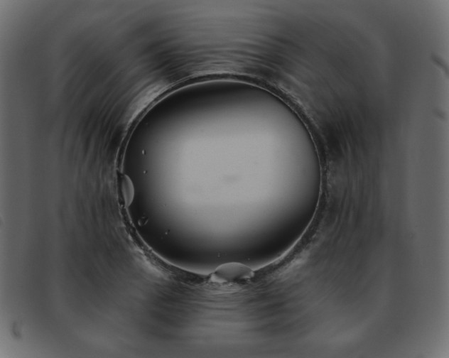 X0000093581129200710151140
