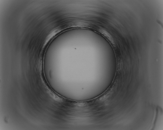 X0000093581130200710151140