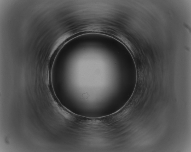 X0000093581131200710151140