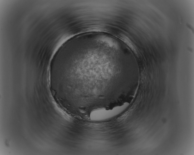 X0000093581132200710151140