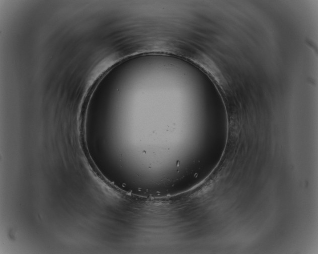 X0000093581135200710151140