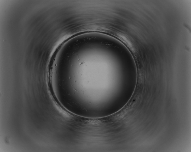 X0000093581136200710151140