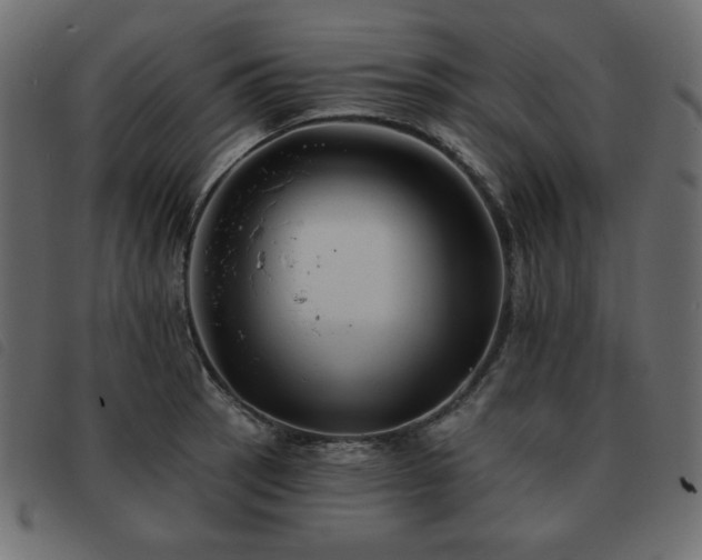 X0000093581137200710151140