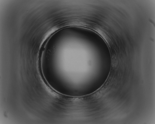 X0000093581139200710151140