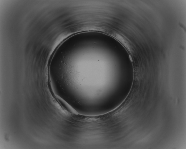 X0000093581140200710151140