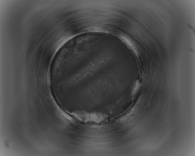 X0000093581141200710151140
