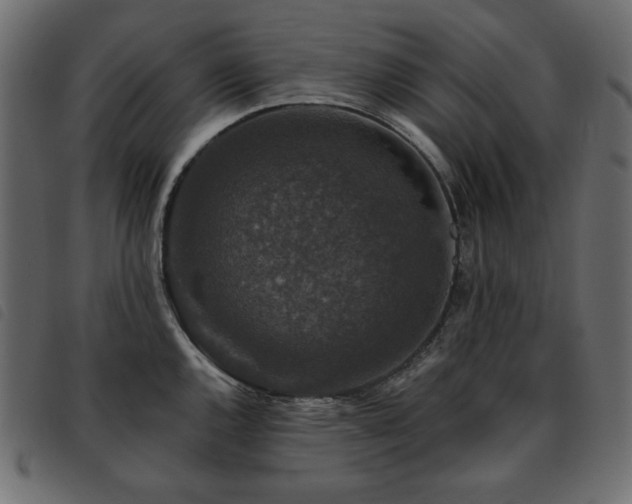 X0000093581144200710151140