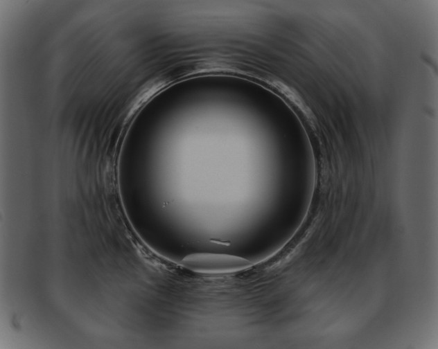 X0000093581145200710151140