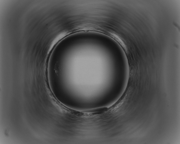 X0000093581146200710151140