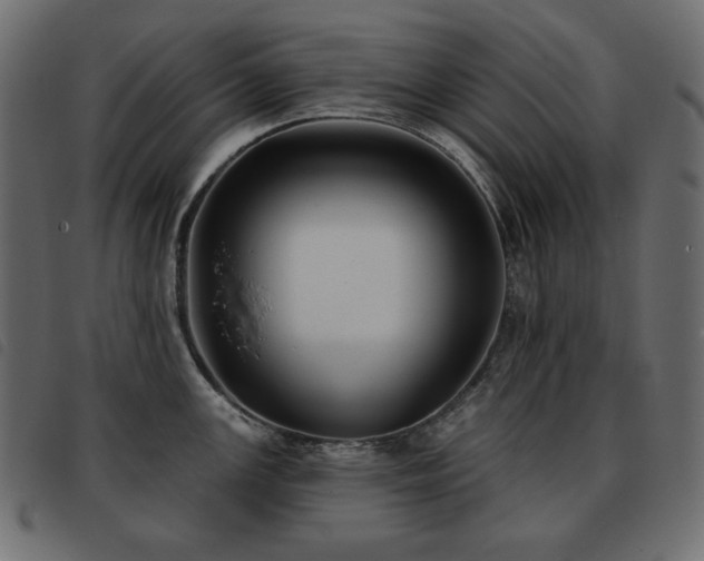 X0000093581147200710151140