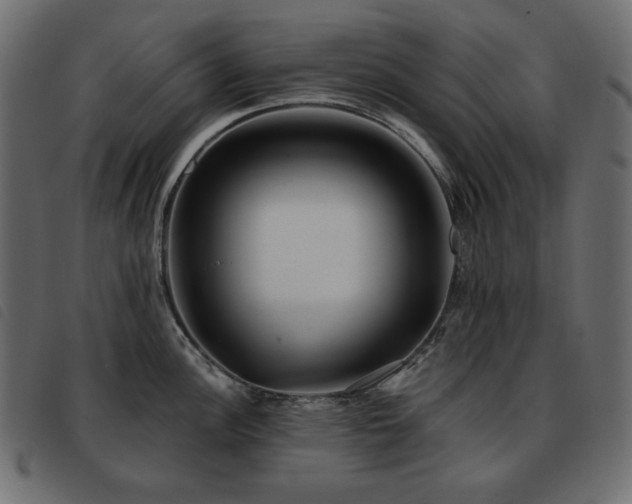 X0000093581148200710151140
