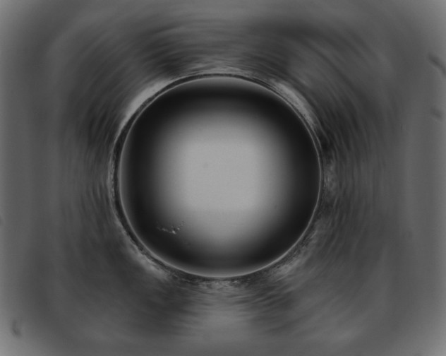 X0000093581149200710151140