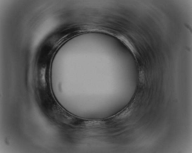 X0000093581150200710151140