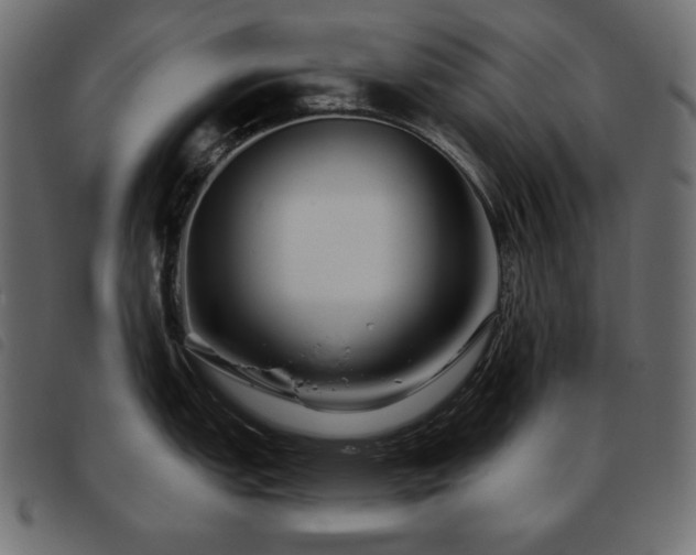 X0000093581151200710151140