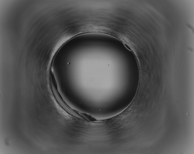 X0000093581152200710151140