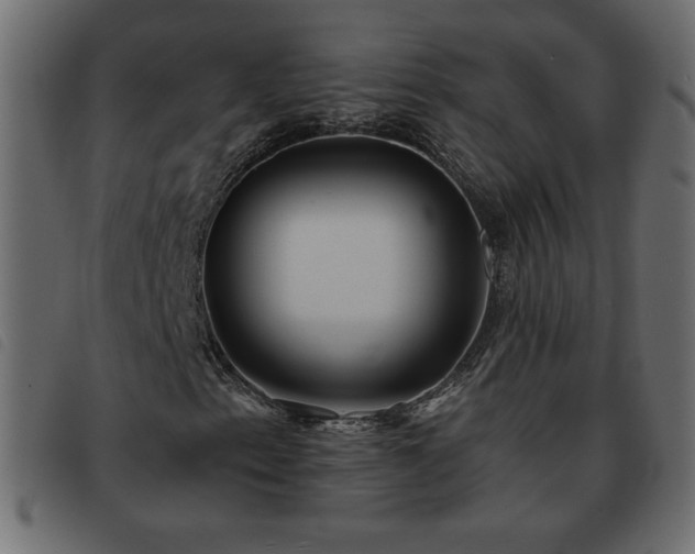 X0000093581153200710151139