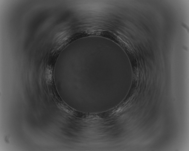 X0000093581154200710151139