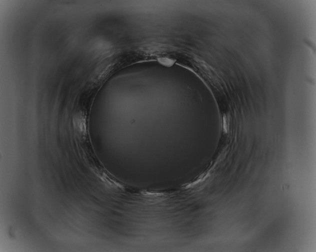 X0000093581155200710151139
