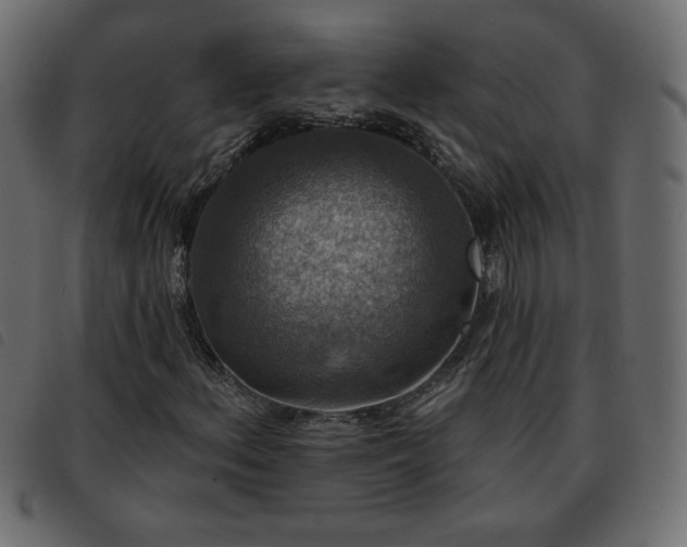 X0000093581156200710151139