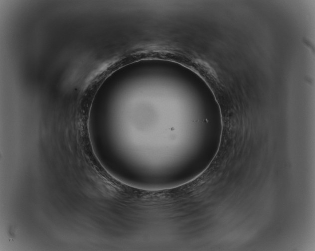 X0000093581159200710151139