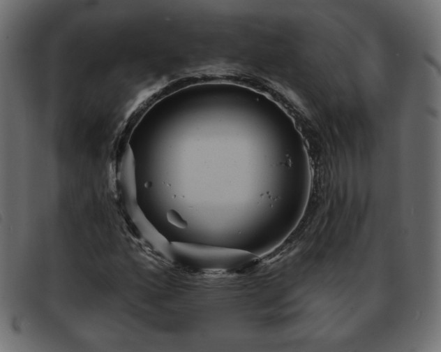 X0000093581160200710151139