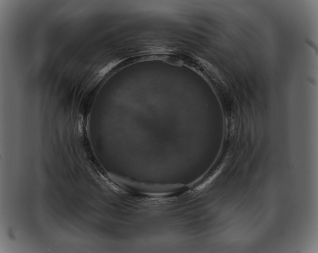 X0000093581161200710151139