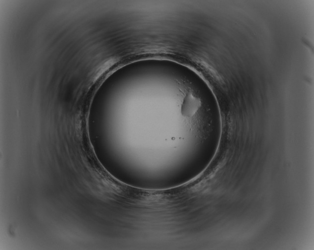 X0000093581162200710151139