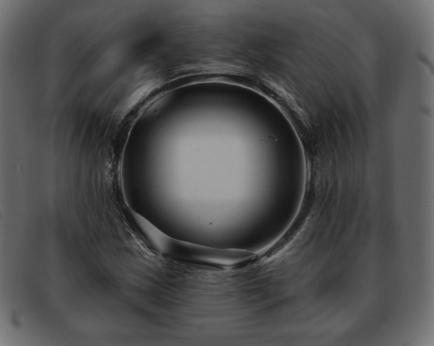 X0000093581163200710151139