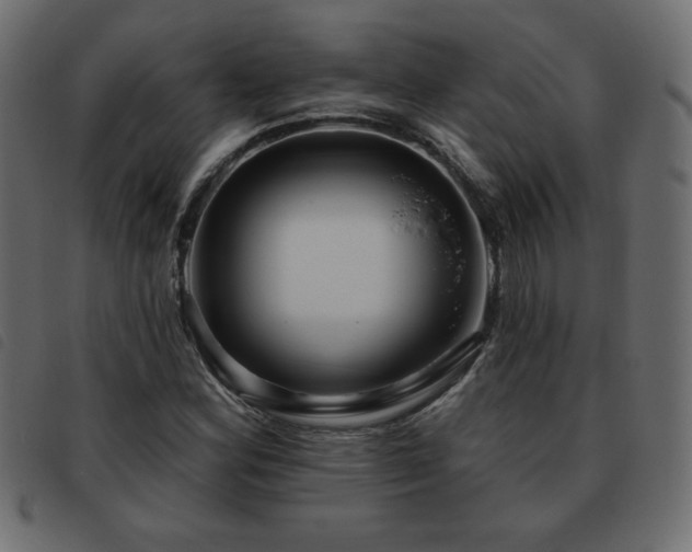 X0000093581164200710151139