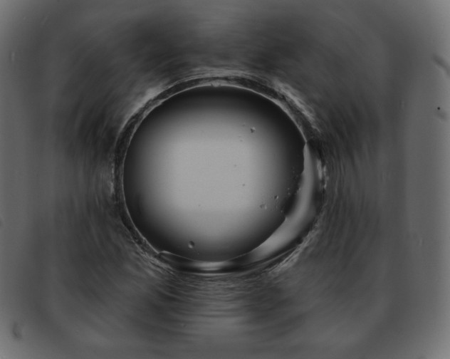 X0000093581165200710151139
