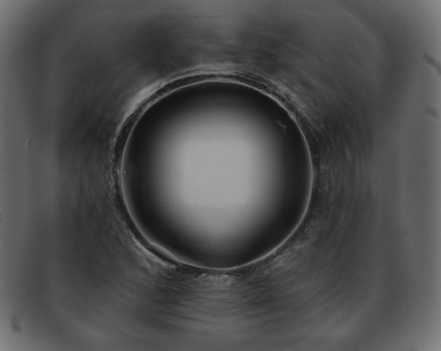 X0000093581168200710151139