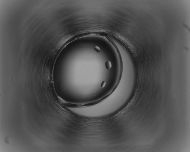 X0000093581169200710151139
