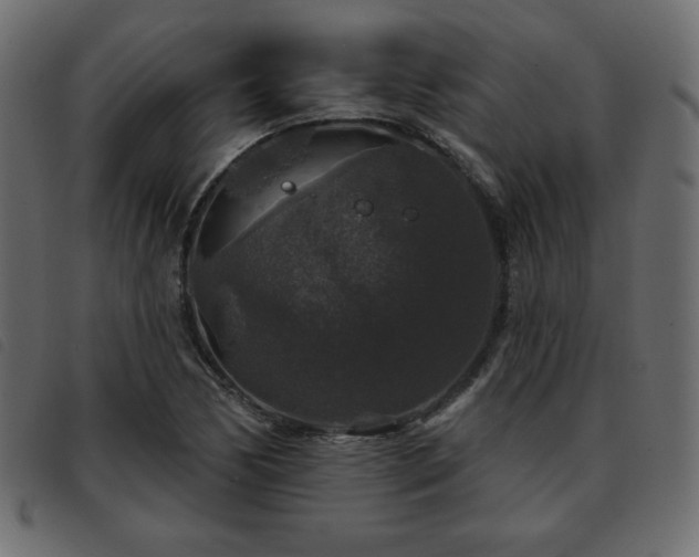X0000093581170200710151139