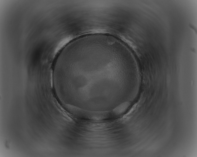 X0000093581171200710151139