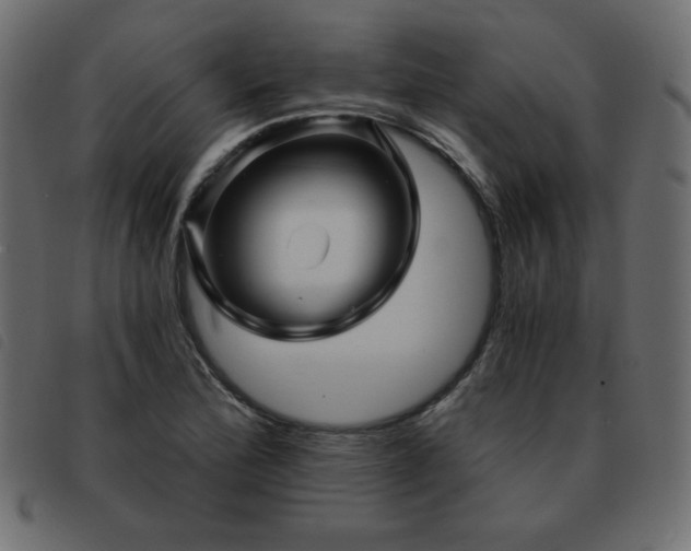 X0000093581172200710151139
