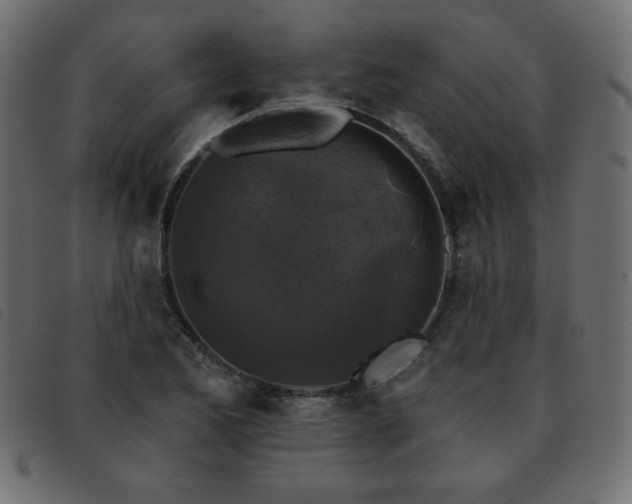X0000093581173200710151139