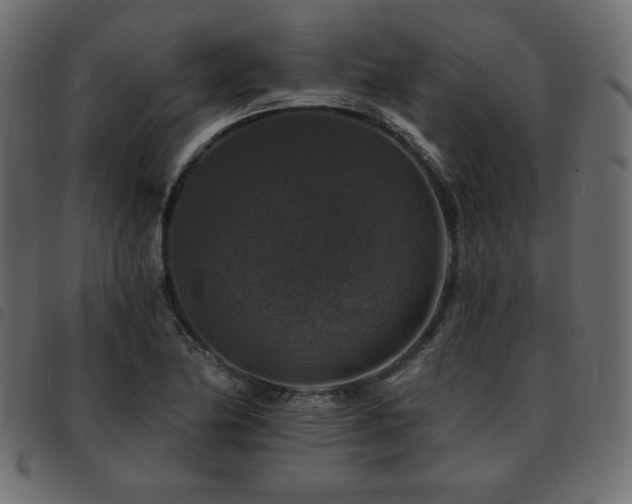 X0000093581174200710151139