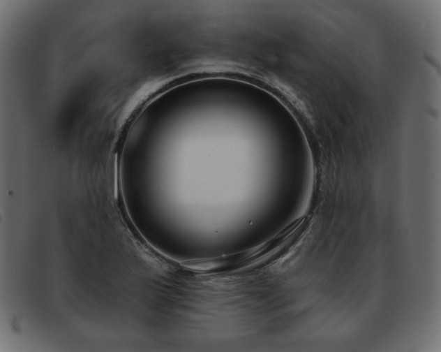 X0000093581175200710151139