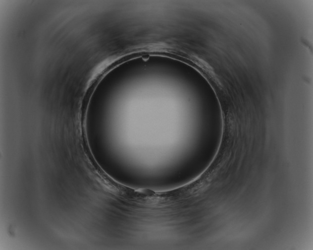 X0000093581176200710151139