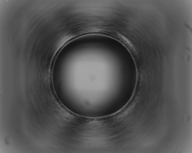 X0000093581178200710151139