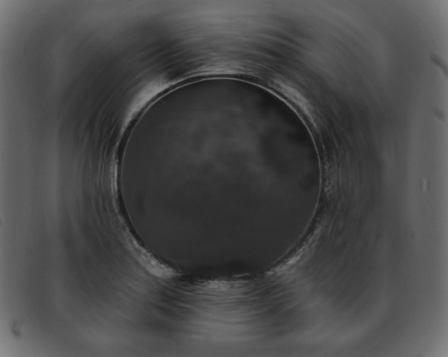 X0000093581179200710151139