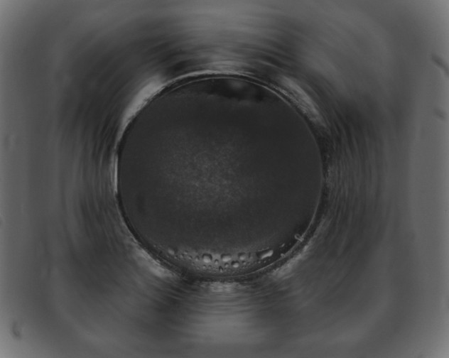 X0000093581180200710151139