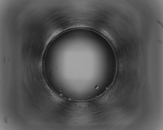 X0000093581181200710151139
